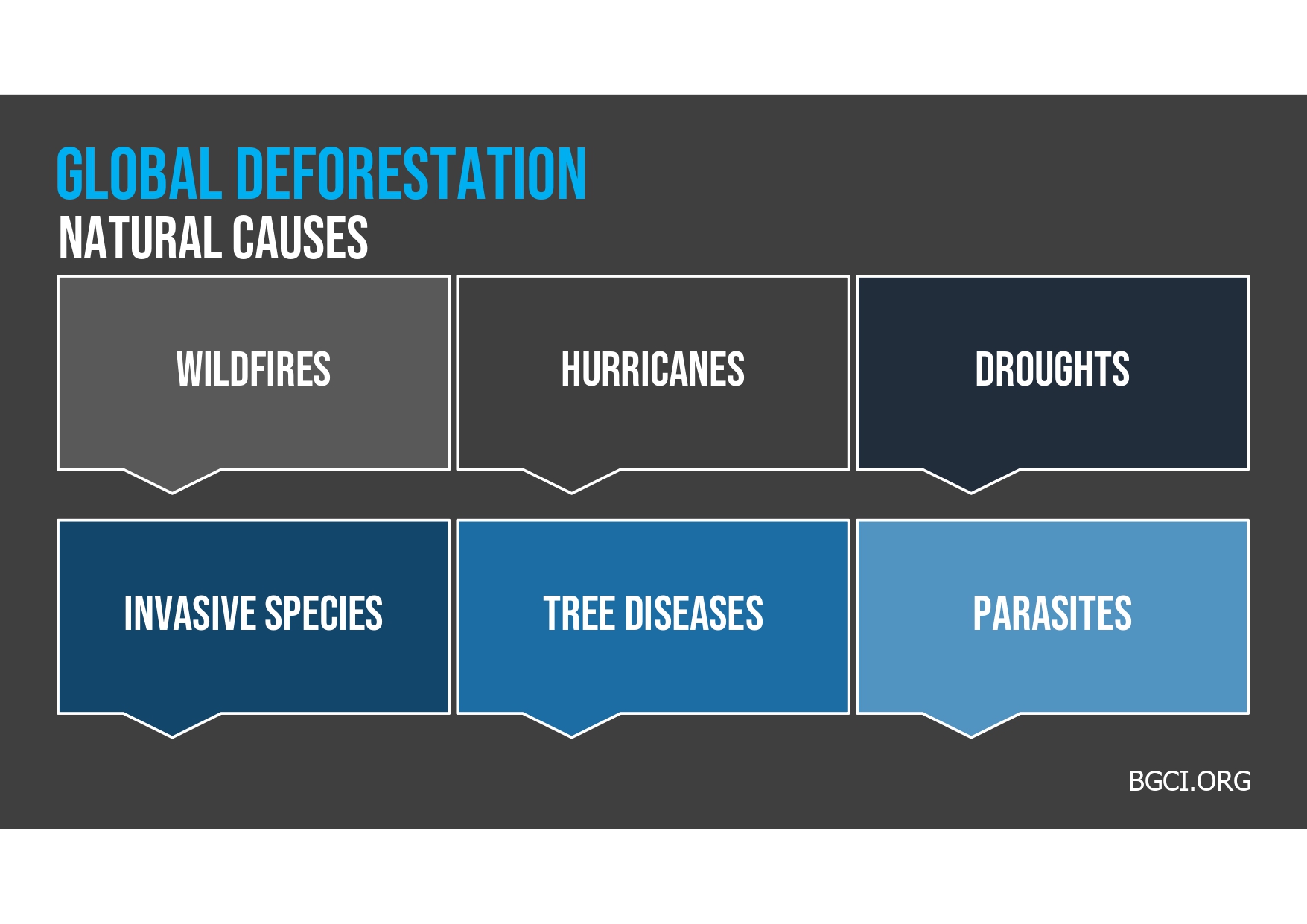 Deforestation causes. 