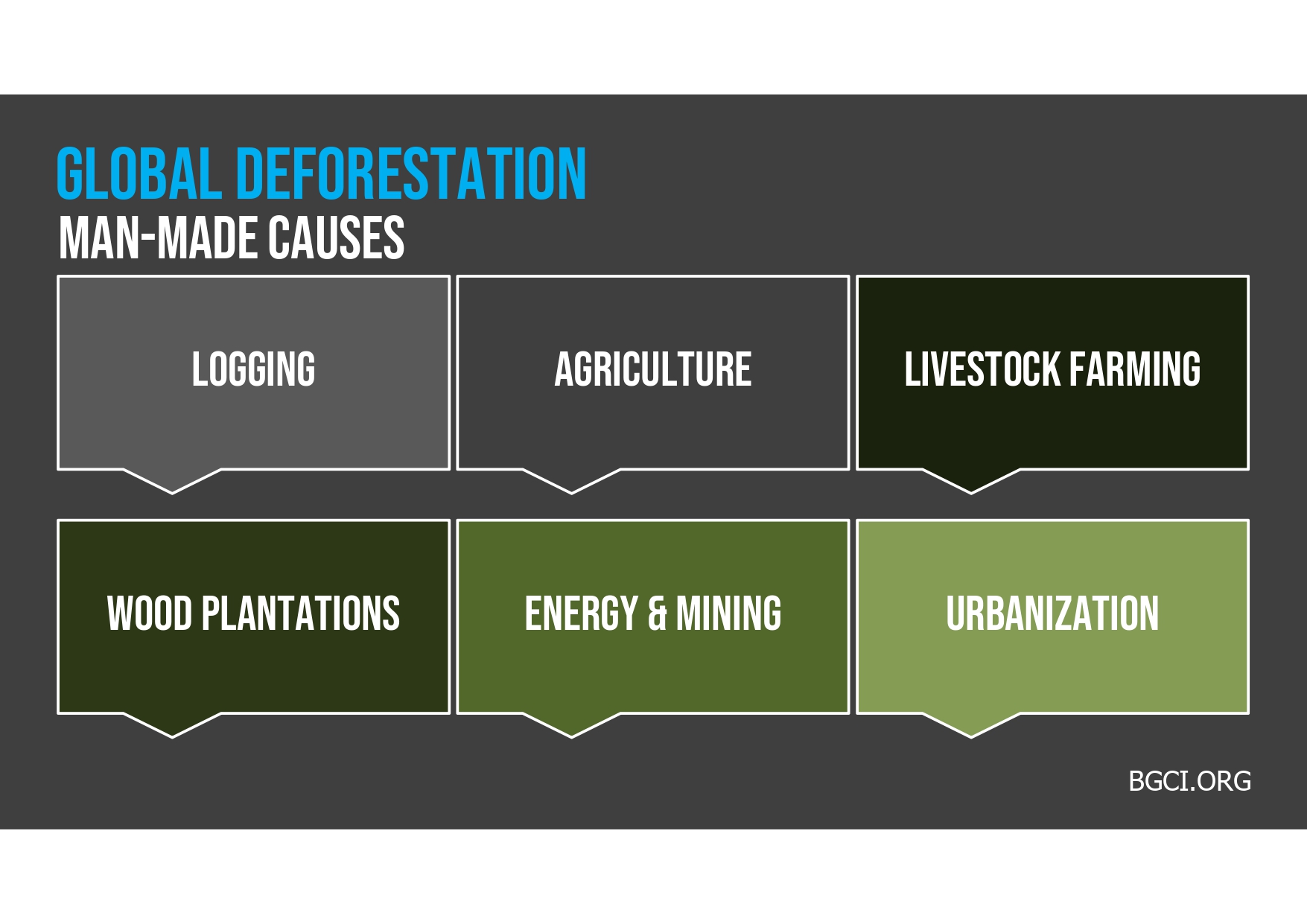 Deforestation causes. 