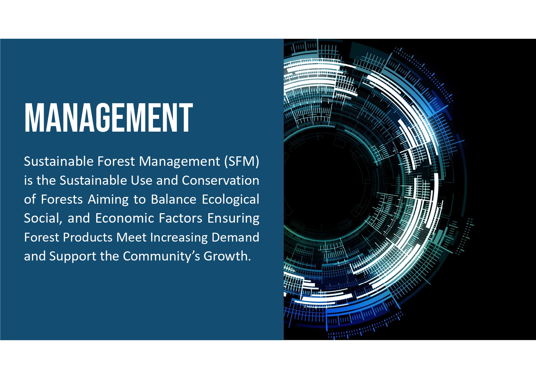 Sustainable forest management. 