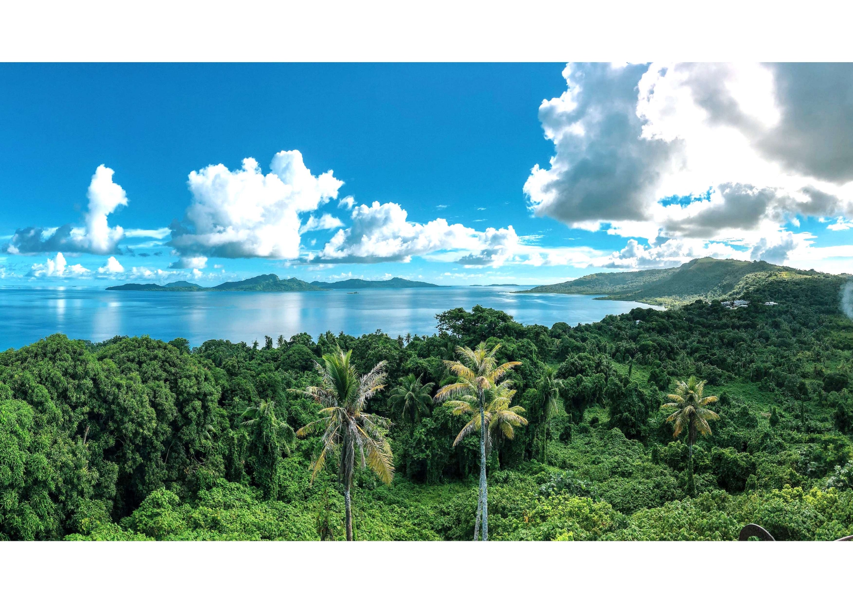 A landscape of a tropical forest and a body of water.