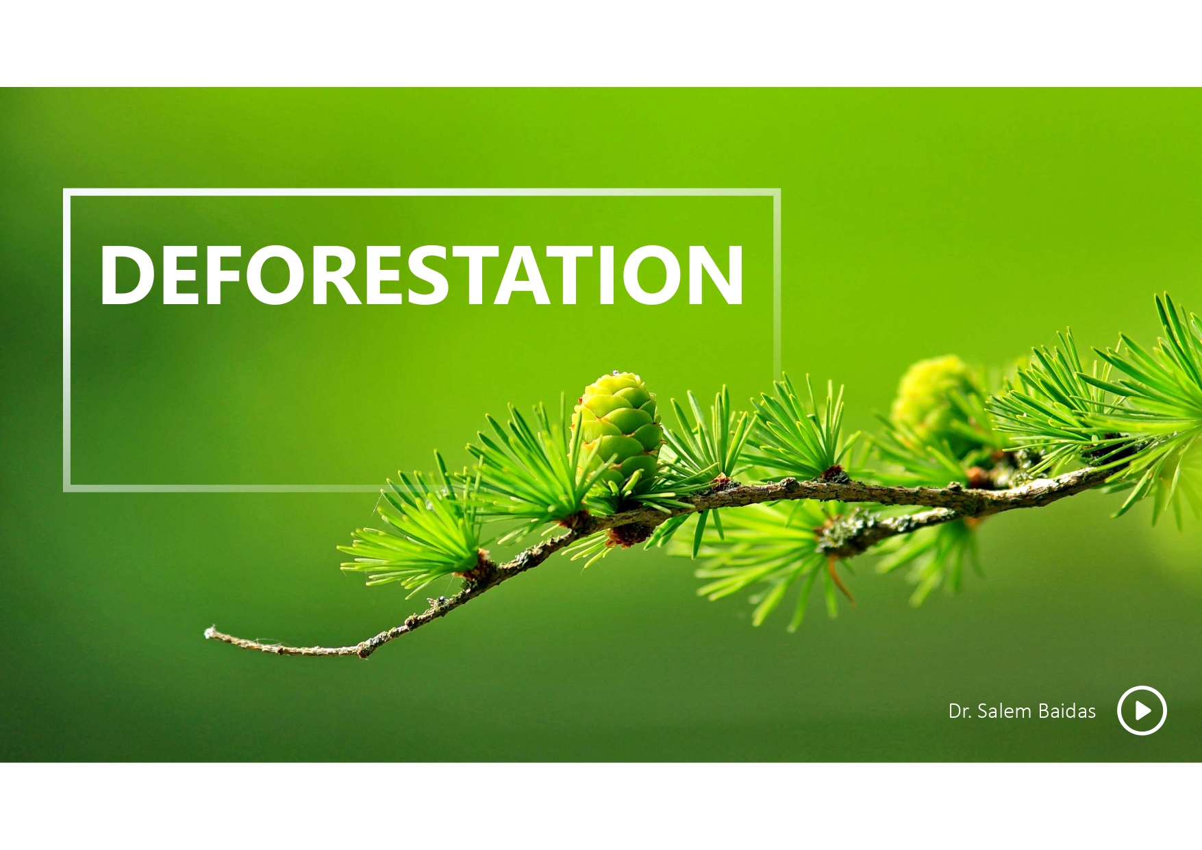 deforestation ppt.