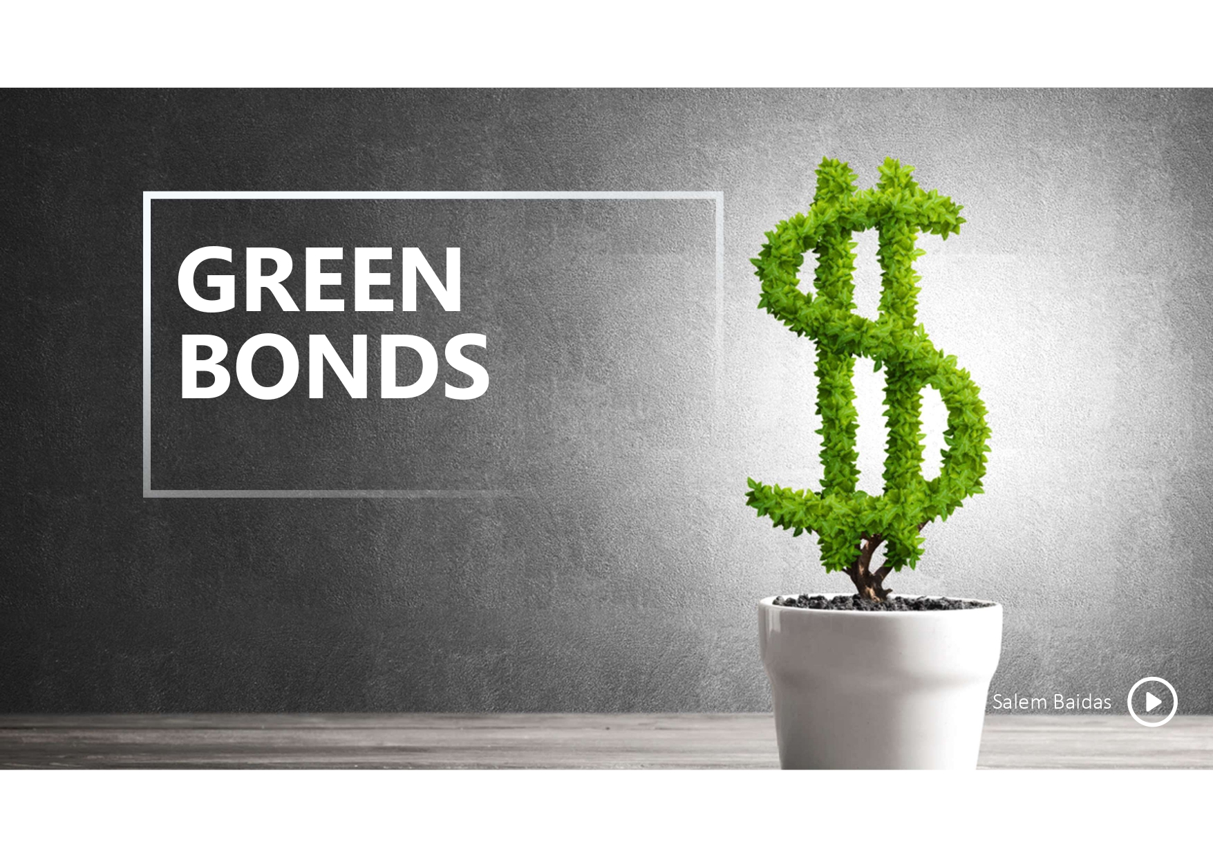 green bonds ppt.