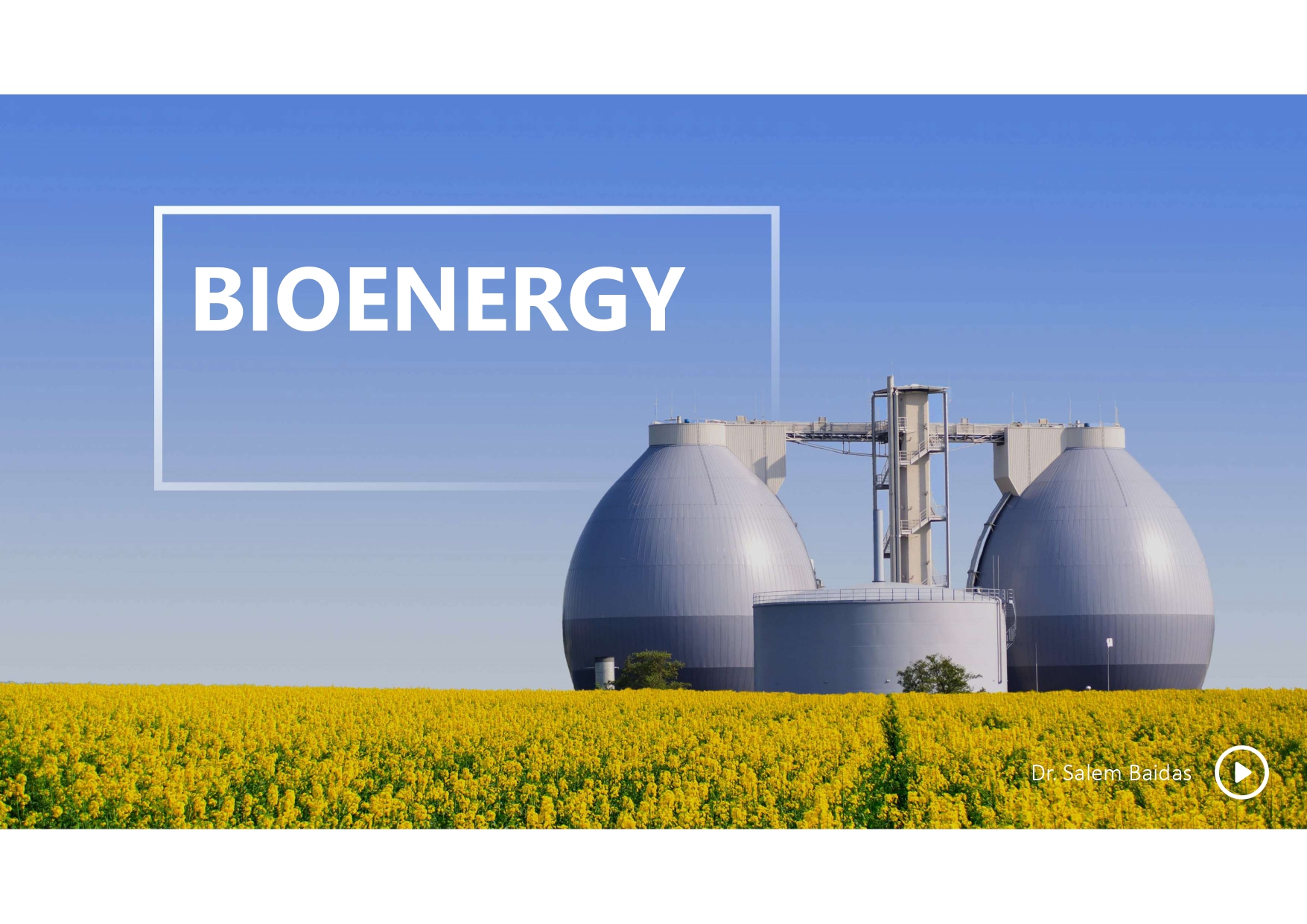 Bioenergy ppt.