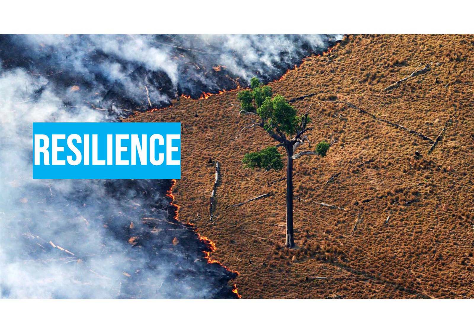 S2ADesign.com logo with a blue lightning bolt icon on a dark gray background.