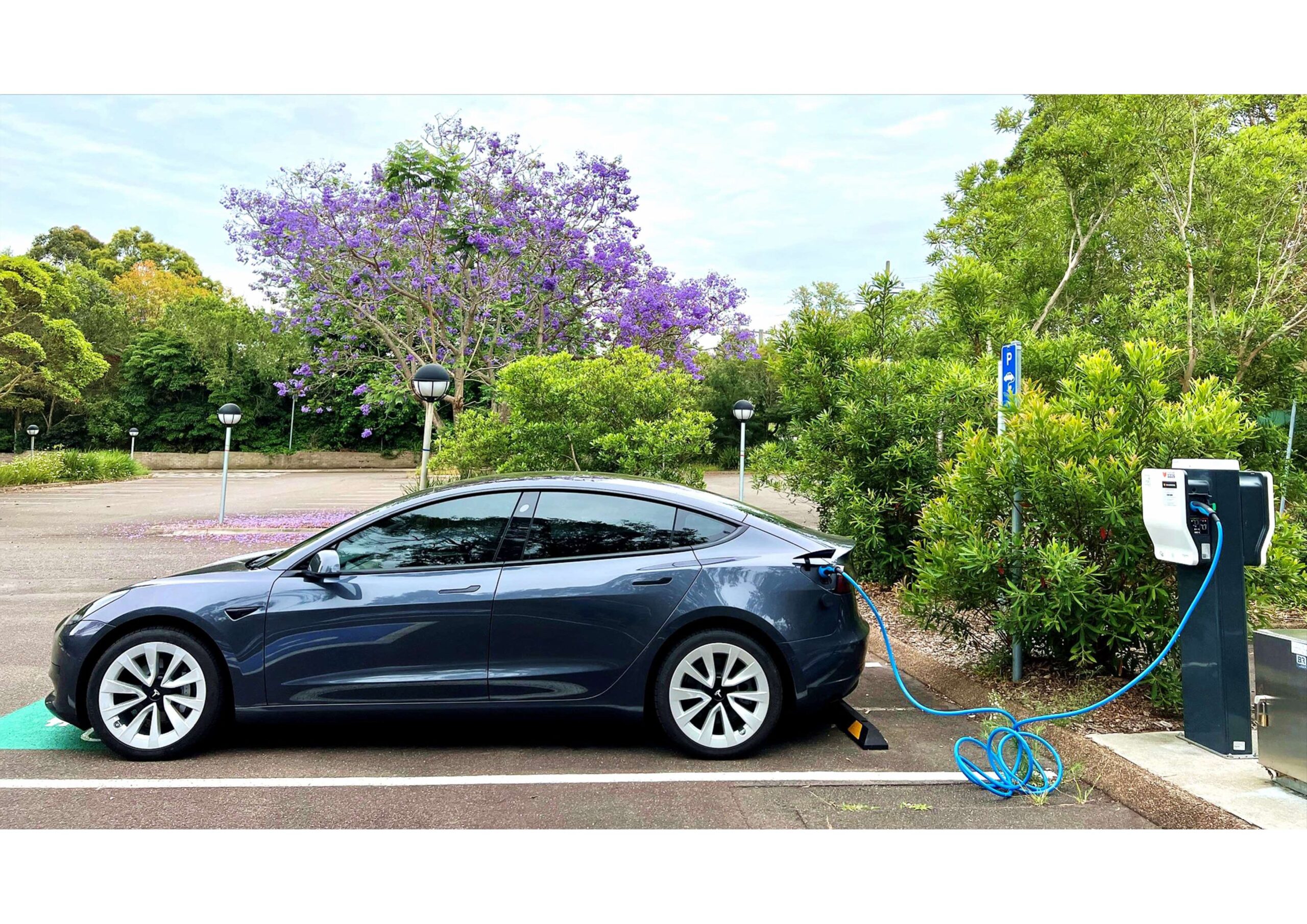 A dark blue electric car is parked at a charging station in a lot, connected by a cable, with trees and purple flowers in the background.