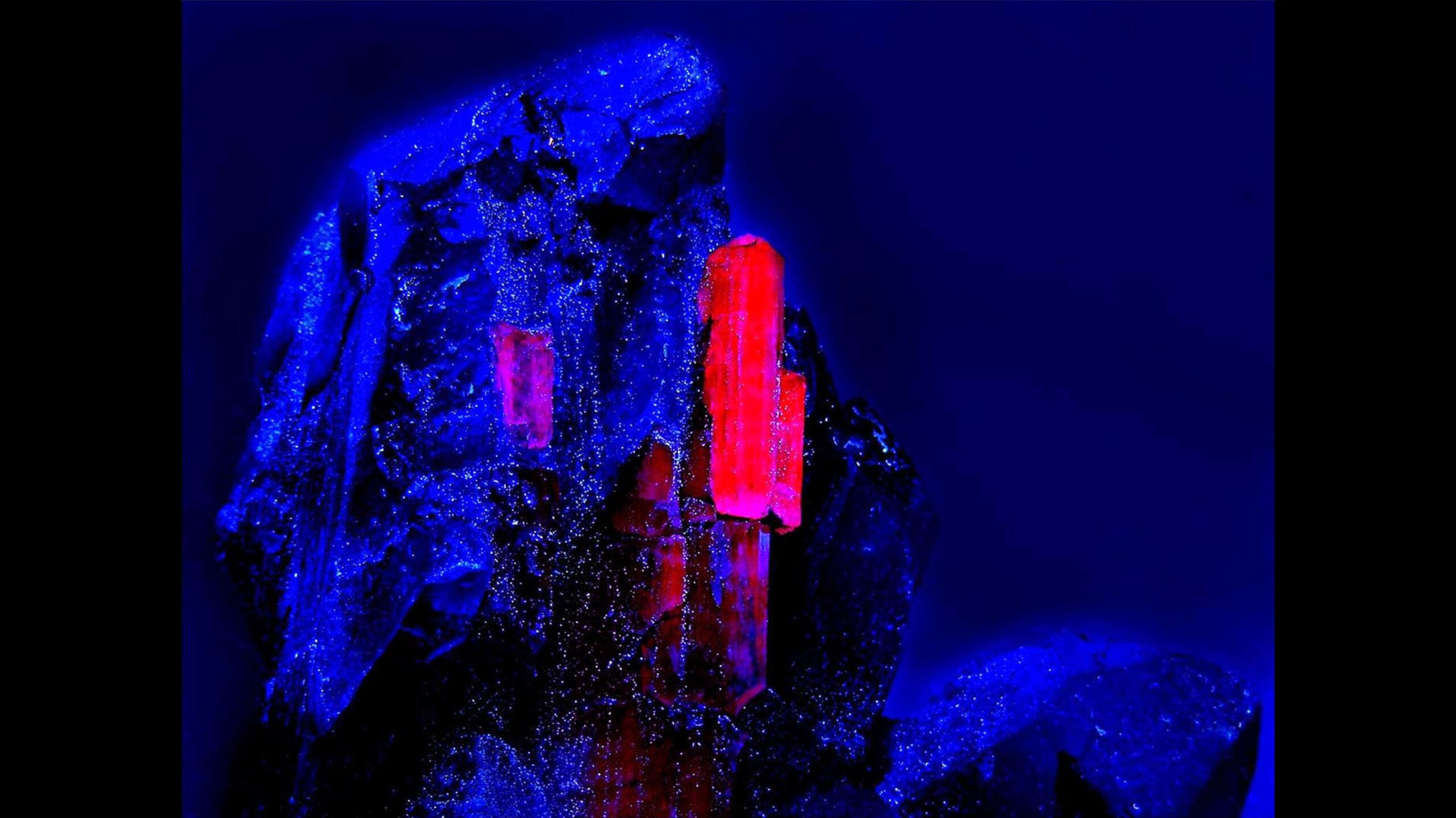 A cluster of minerals glows under ultraviolet light, with vivid red crystals and dark blue surrounding rocks against a deep blue background.