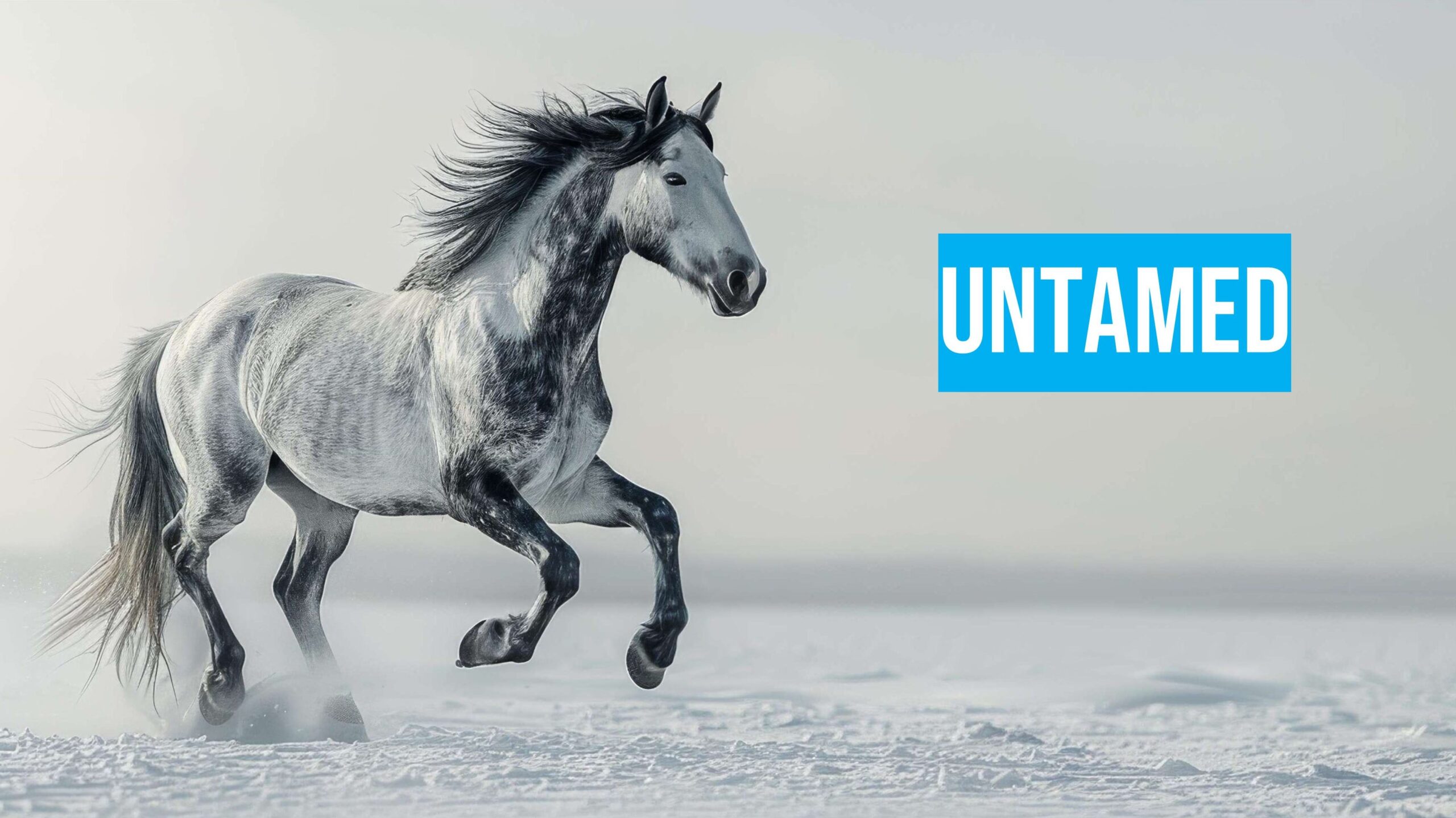 A gray horse runs through a snowy landscape with the word "UNTAMED" in bold blue and white text on the right side of the image.